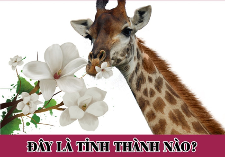 Hãy ghép các chữ mà bạn thấy để ra tên tỉnh thành nhé.