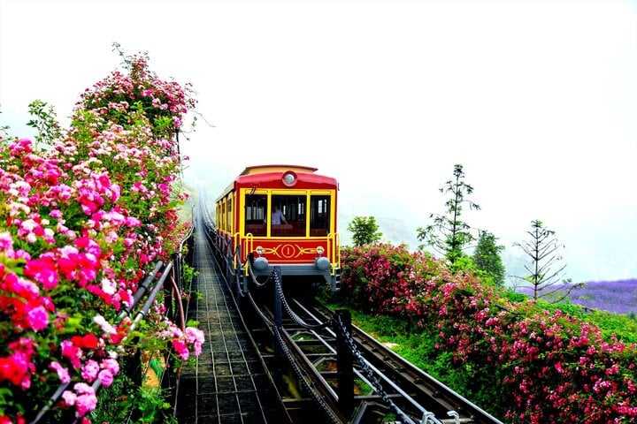 Tàu hỏa leo núi Mường Hoa không chỉ rút ngắn thời gian di chuyển tới nhà ga cáp treo mà còn đưa du khách chiêm ngưỡng khung cảnh hùng vỹ của Tây Bắc.