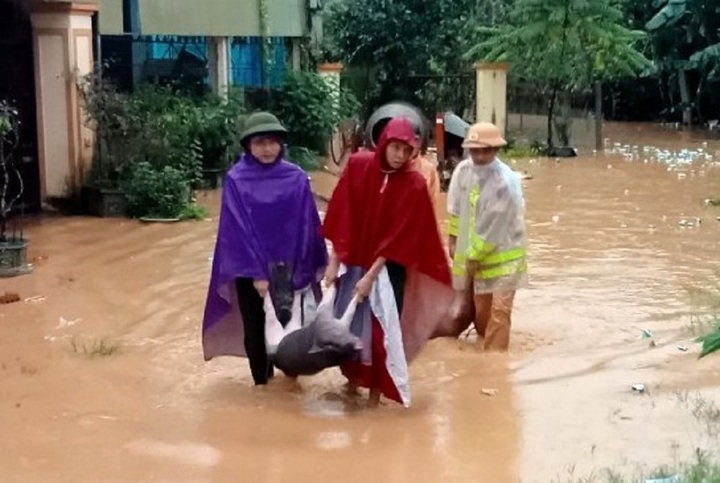 Lực lượng công an và người dân đưa gia súc, gia cầm lên nơi khô ráo