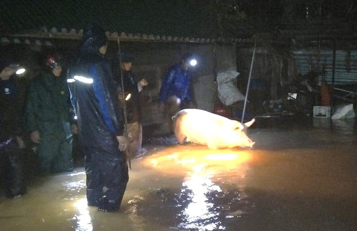 Nhiều huyện miền núi Nghệ An ngập lụt, giao thông chia cắt sau mưa lớn kéo dài - 12