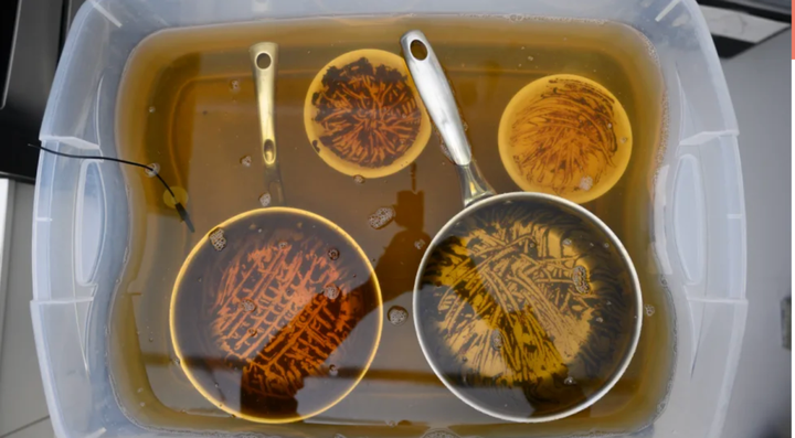 Nên ngâm bát đĩa hay rửa luôn? (Ảnh: Betsey Goldwasser)