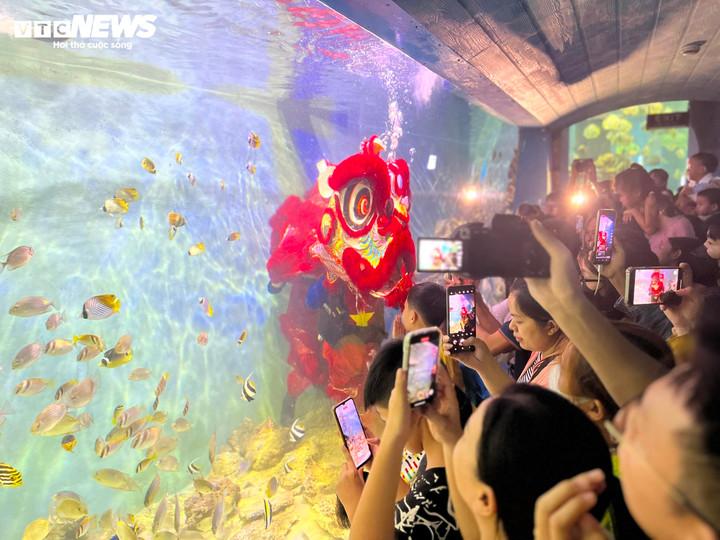 Người dân thích thú khi chứng kiến cảnh múa lân dưới nước.