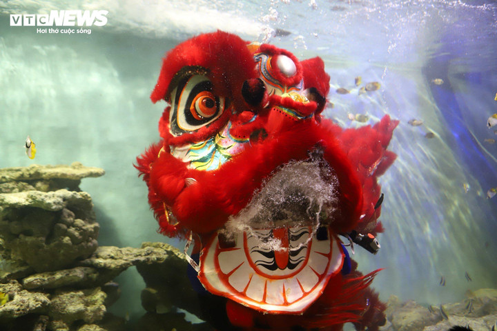 Con lân được múa dưới nước.
