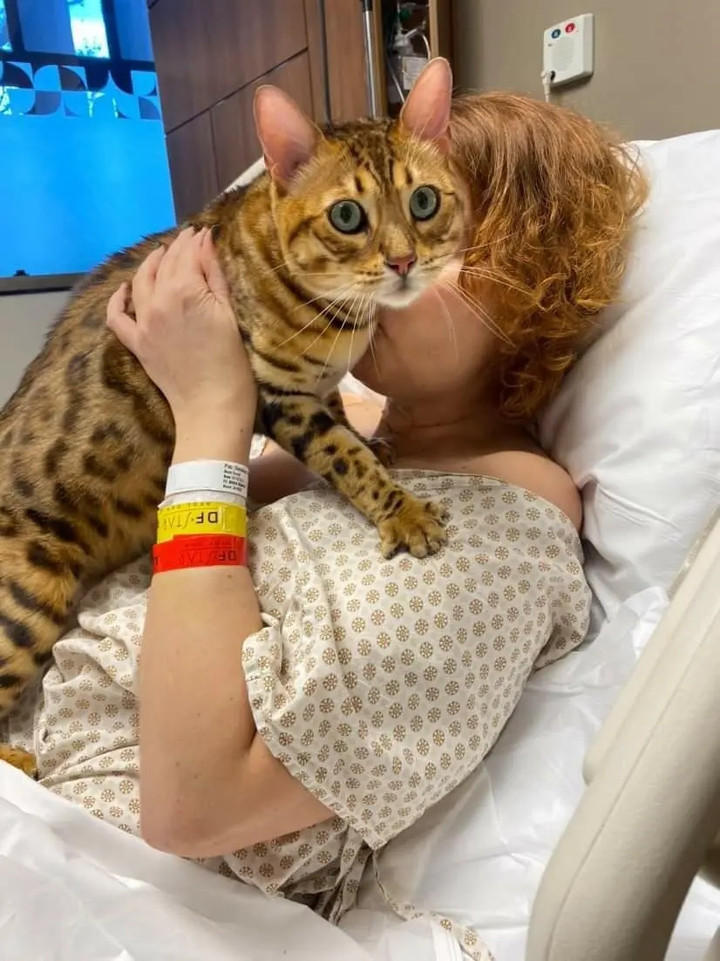 Goes đã nằm viện suốt 10 tháng 10 ngày. (Ảnh: NYP)