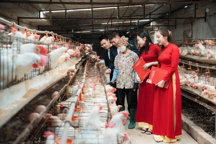 Sản phẩm nông nghiệp của bà con nông dân được gắn với chứng nhận OCOP và tiêu chuẩn VIETGAP góp phần nâng cao thu nhập cho người dân.