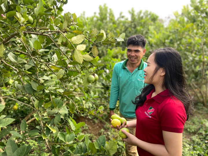 Cán bộ Agribank tư vấn, hướng dẫn khách hàng tiếp cận các chương trình tín dụng phù hợp với điều kiện địa phương và của hộ gia đình.