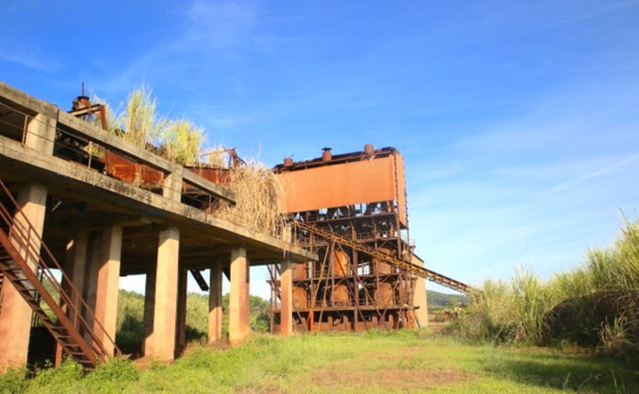 Hiện trạng bên trong dự án nhà máy sắt hơn 150 tỷ đồng bỏ hoang.