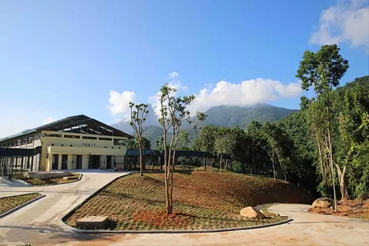 Dự kiến ngày mai (3/7) hai con gấu sẽ đến Trung tâm Cứu hộ Gấu Việt Nam tại Vườn Quốc gia Bạch Mã. (Ảnh: Tổ chức Động vật châu Á cung cấp)