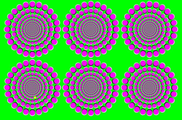 Ai tinh mắt hãy chỉ ra vị trí chấm màu vàng trong vòng 10 giây.