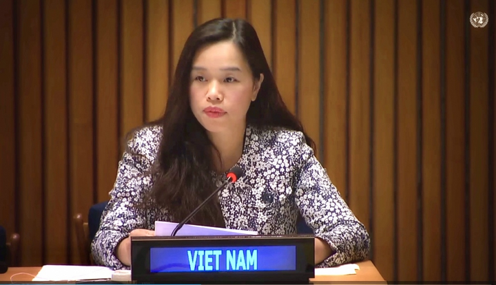 Tham tán Công sứ Lê Thị Minh Thoa, Phó Trưởng Phái đoàn thường trực Việt Nam tại LHQ.