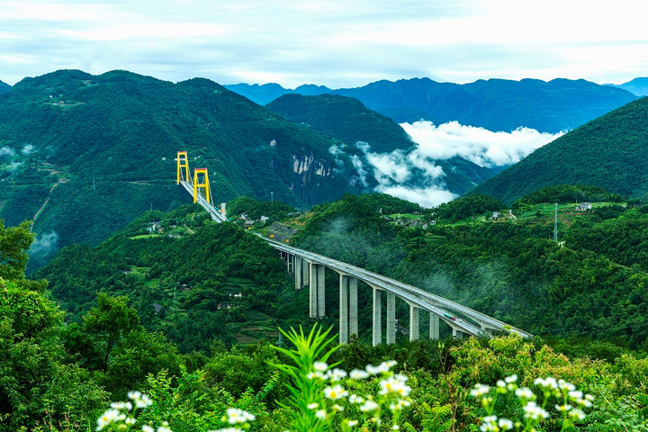 Toàn bộ cầu Siduhe có tổng cộng 16.129 dây thép đặc biệt loại 5,1mm, khởi công xây dựng từ năm 2004, hoàn thành vào tháng 10/2008 và chính thức thông xe vào năm 2019. Tổng vốn đầu tư là 618 triệu nhân dân tệ (gần 2.100 tỷ đồng, theo tỷ giá hiện tại).