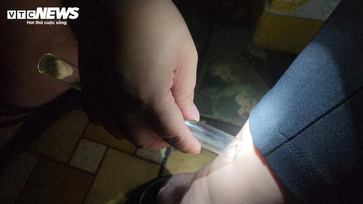 Muỗi đậu lên chân sẽ được bắt bằng ống nghiệm.