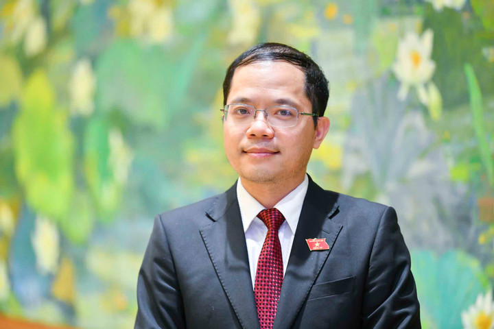 ĐBQH Đinh Công Sỹ, Phó Chủ nhiệm Ủy ban Văn hóa, Giáo dục. (Ảnh: quochoi.vn).