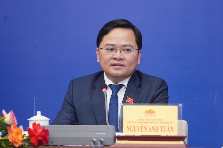 ĐBQH Nguyễn Anh Tuấn, Chủ tịch Nhóm ĐBQH trẻ Việt Nam. (Ảnh: quochoi.vn).