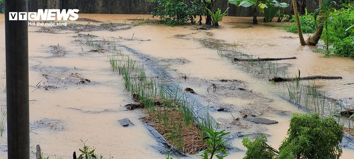 Hà Tĩnh nhiều nơi ngập sâu, người dân vất vả di dời tài sản trong đêm - 6