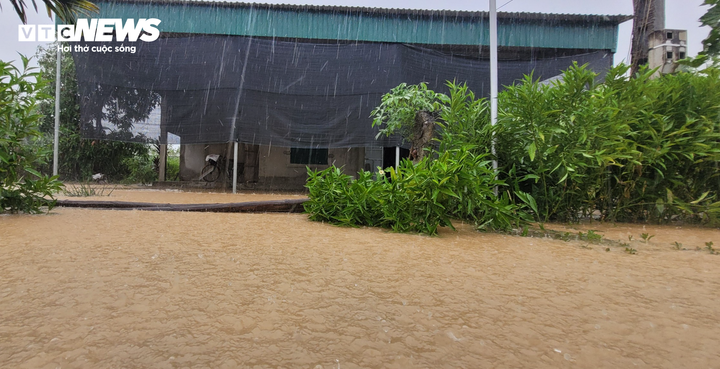 Sáng 8/10, ghi nhận của PV VTC News tại xã Cẩm Thịnh, huyện Cẩm Xuyên, Hà Tĩnh, do mưa lớn kéo dài nhiều giờ, nhiều con đường dân sinh bị chia cắt. Nhiều héc ta hoa màu bị nước lũ nhấn chìm, người dân phải vất vả di dời tài sản trong đêm.