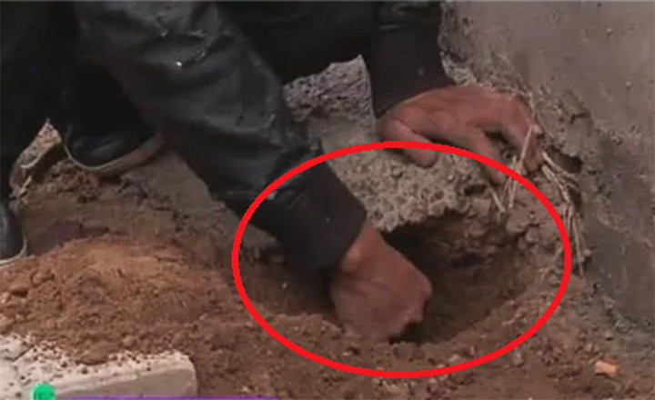 Nơi ông Sở chôn khoản tiền tiết kiệm.