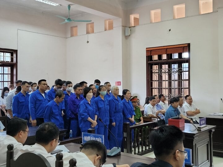 Xét xử hai anh em 'đại gia lan đột biến' và nhiều cựu quan chức ở Thái Nguyên