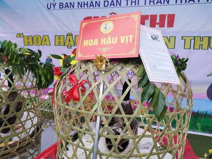 Giải thưởng cho "hoa hậu" vịt là 35 triệu đồng, "á hậu 1" là 10 triệu đồng, "á hậu 2" là 6 triệu đồng.
