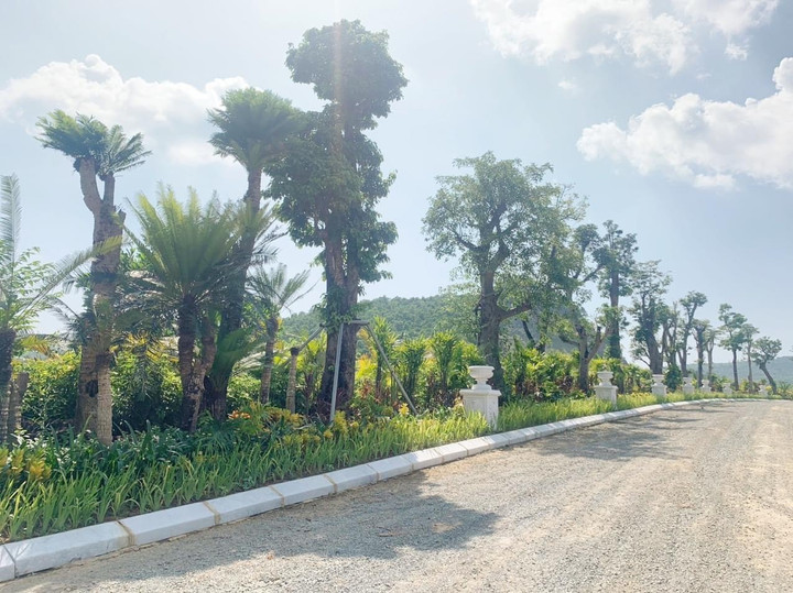 Hoàn chỉnh cao tốc Hà Nội - Hòa Bình mở lối cho BĐS khu vực phía Tây Thủ đô - 6