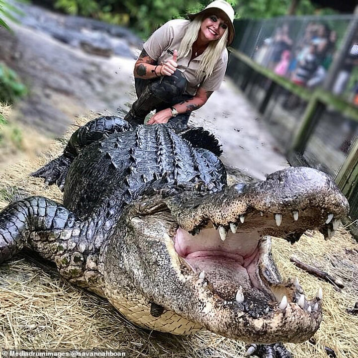 Tình yêu của Savannah Boan dành cho cá sấu Mỹ. (Ảnh: @Savannah Boan/Facebook)