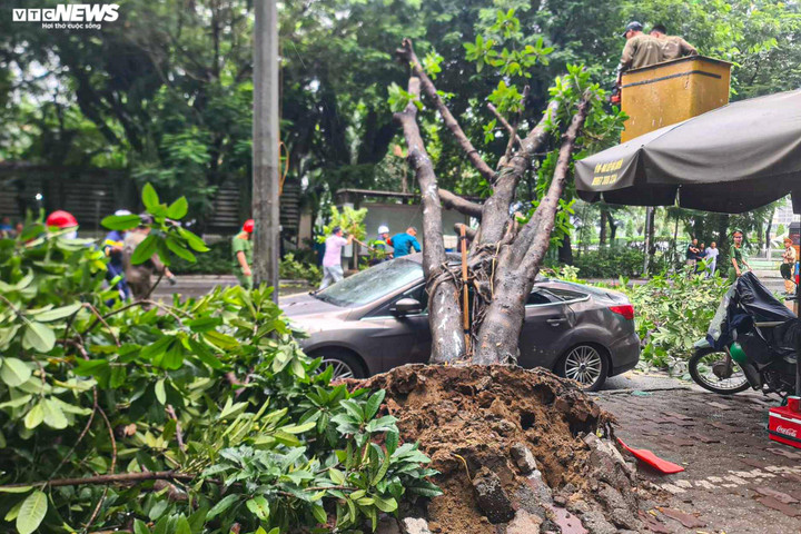 Ảnh minh họa: (M.H)