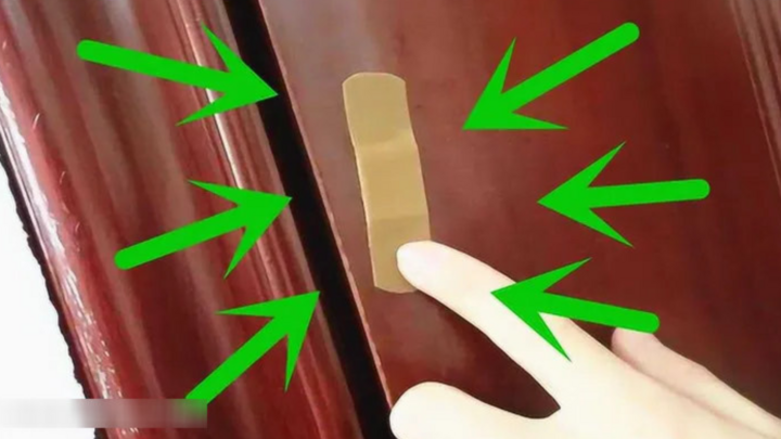 Việc dán miếng urgo lên cửa nhà vệ sinh có tác dụng gì? Câu trả lời là đuổi muỗi và khử mùi hôi. (Ảnh: ART Times)