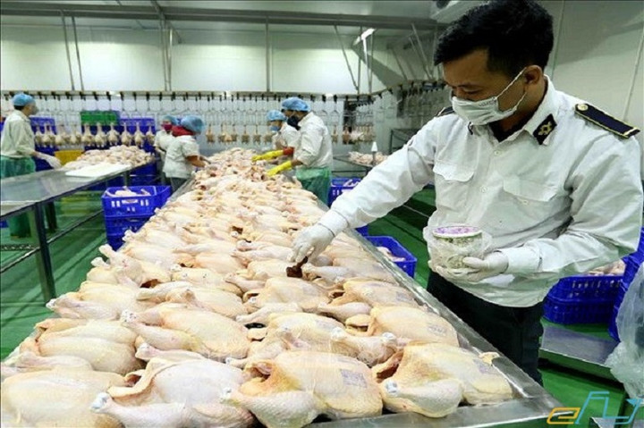 Mọi thực phẩm mang vào Thái Lan phải có giấy chứng nhận vệ sinh an toàn thực phẩm và bị hạn chế về số lượng.