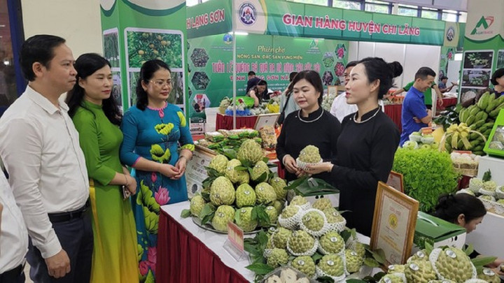 Đến hết năm 2023, có 3 sản phẩm na Chi Lăng của thị trấn Đồng Mỏ và xã Chi Lăng, xã Y Tịch đạt chứng nhận sản phẩm OCOP 4 sao và một sản phẩm của Thị trấn Chi Lăng đạt OCOP 3 sao.