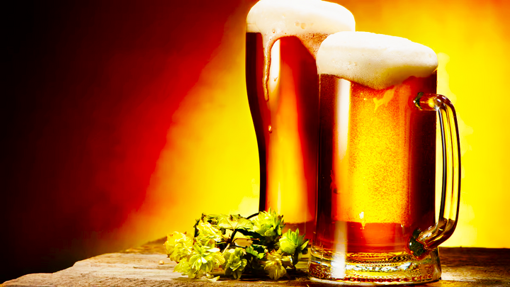 Hoa bia rất quan trọng đối với ngành công nghiệp bia. (Nguồn ảnh: Google)