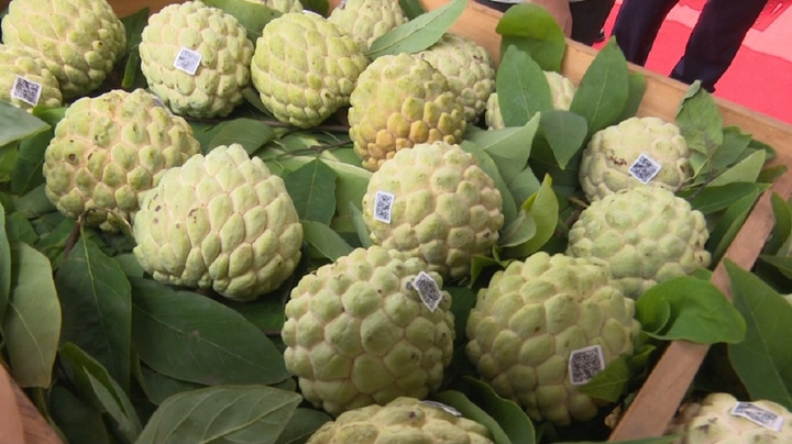 Hợp tác xã Na La Hiên đã chung tay cùng các cấp chính quyền, thu mua na của người dân để đưa đến các siêu thị, trung tâm thương mại, các nhà máy, xí nghiệp, sở, ban, ngành trong tỉnh.