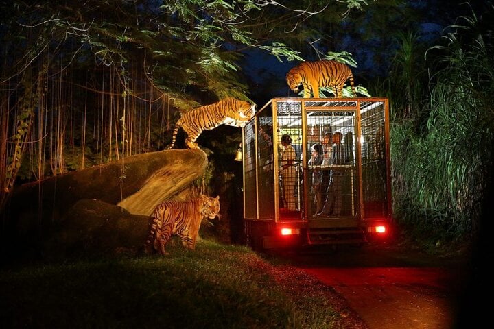 Vườn Thú Night Safari Singapore.