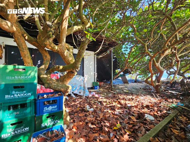 Bên trong resort là khung cảnh hoang tàn với đồ vật ngổng ngang, cây cối um tùm, rác lâu ngày không được quét dọn.