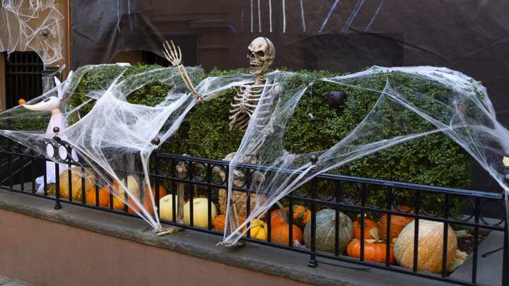 Ý tưởng tô điểm Halloween vày mạng nhện rác rưởi ko khó khăn tiến hành tuy nhiên hiệu suất cao. (Ảnh: mentalfloss)