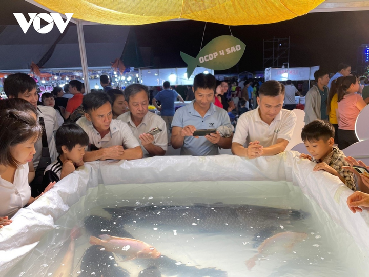 65 triệu đồng một con cá trắm đen 'khủng' - 2