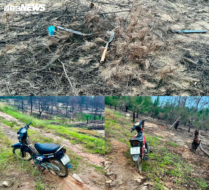 Lâm tặc đang cưa cây, thấy người đến liền "bỏ của chạy lấy người"