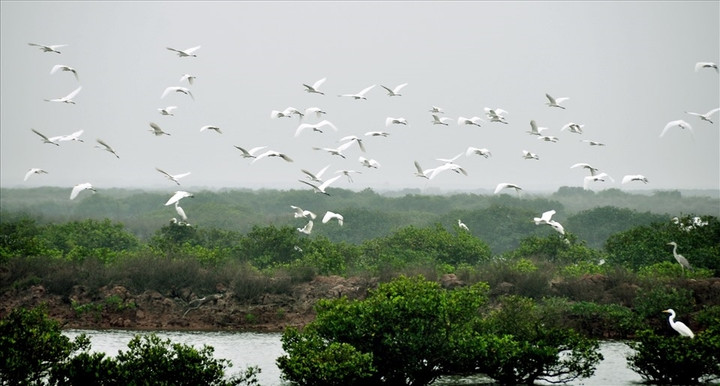 Vườn quốc gia nhỏ nhất Việt Nam thuộc tỉnh nào? - 1