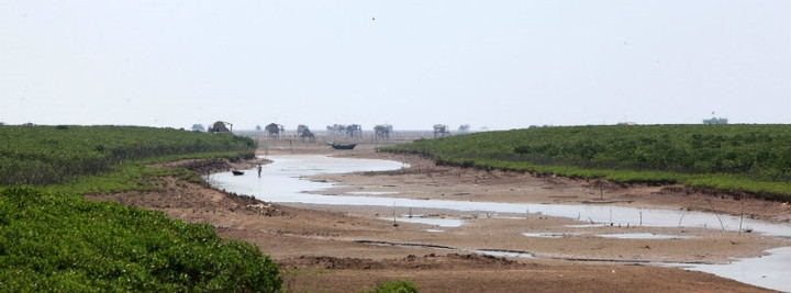 Vườn quốc gia nhỏ nhất Việt Nam thuộc tỉnh nào? - 4