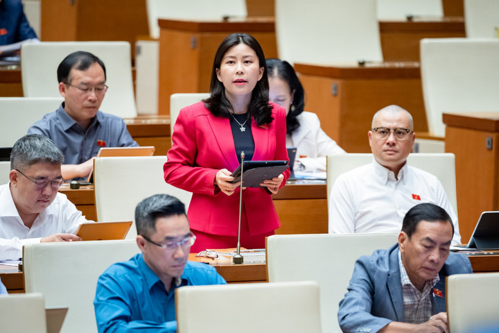 Đại biểu Lê Đào An Xuân. (Ảnh: Quốc hội).