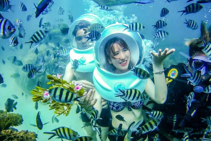 Lặn biển ngắm cá ở Nha Trang. (Ảnh: Internet)