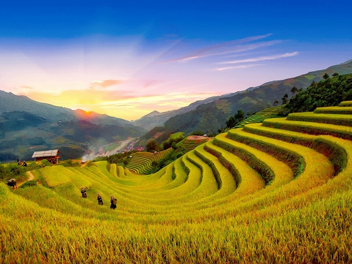 Tỉnh nào có diện tích ruộng bậc thang lớn nhất Việt Nam? - 6