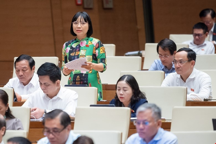 Đại biểu Nguyễn Thị Việt Nga.