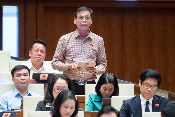 Đại biểu Trần Hữu Hậu.