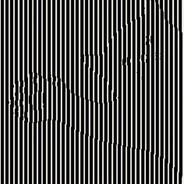 Bạn nhìn thấy con gì?