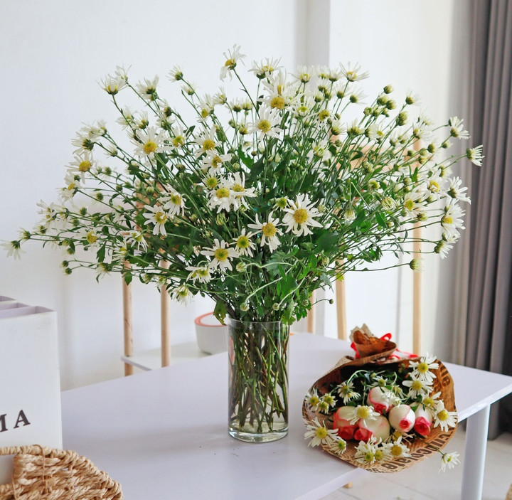 Bình hoa cúc họa mi đầu mùa được chị Thu Trang đăng tải lên mạng xã hội.