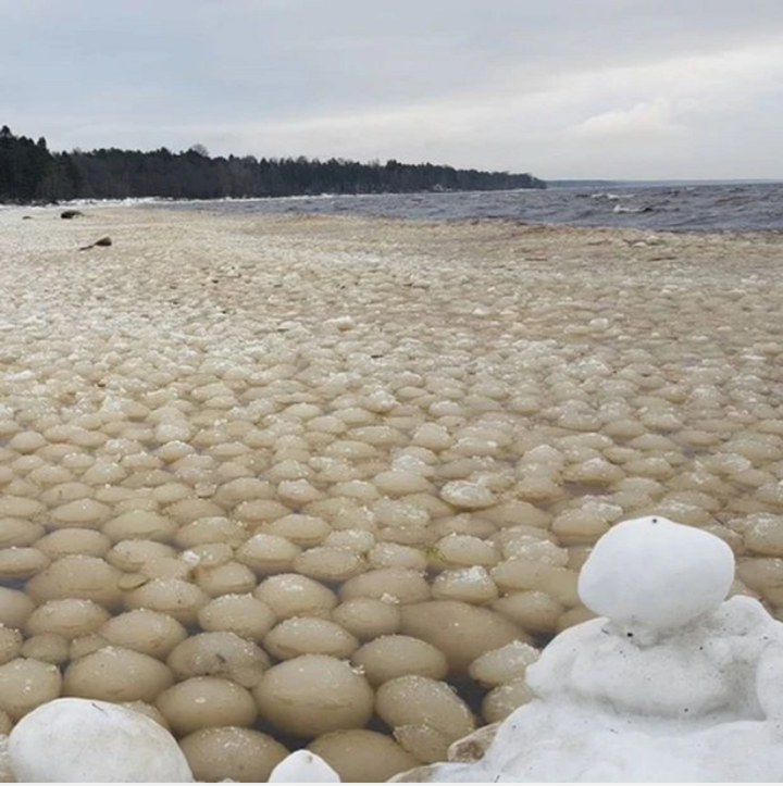 Cảnh tượng hàng ngàn quả bóng tuyết trôi lập lờ trên mặt nước đã thu hút sự chú ý của nhiều người. (Ảnh: Dailymail)