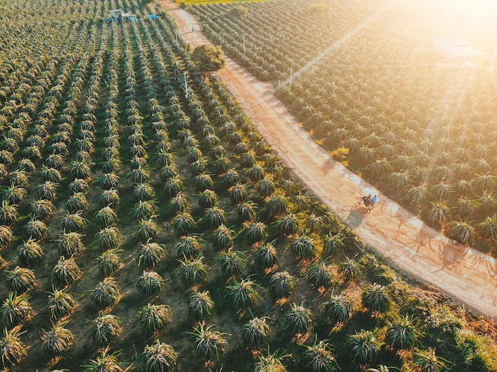 Ngọn hải đăng cổ nhất Đông Nam Á nằm ở tỉnh nào nước ta? - 5