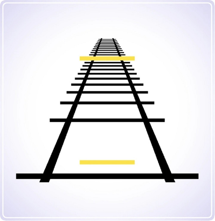 Bạn có đoán được không?