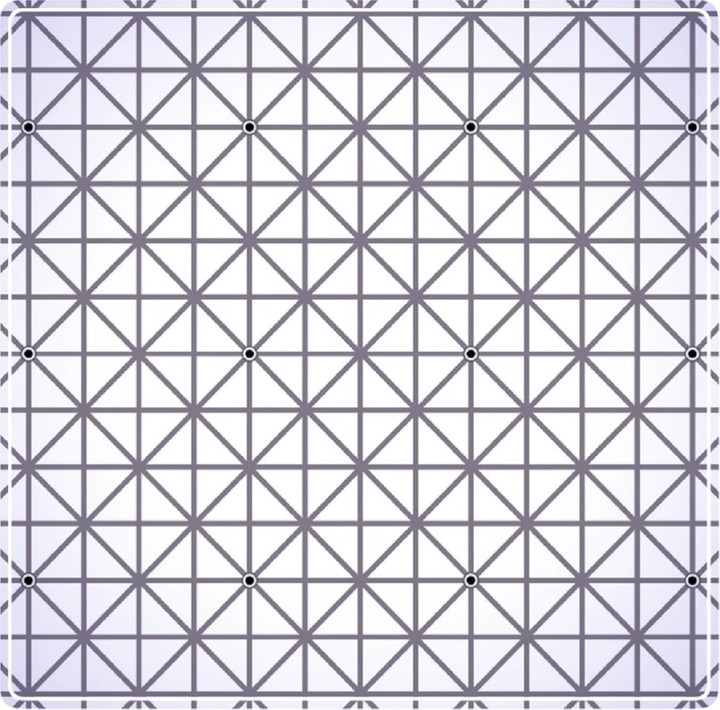 Trong hình có bao nhiêu chấm đen?