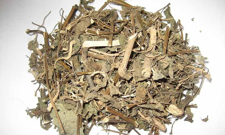 Việc tự ý dùng thuốc nam khi chưa có chỉ định của bác sĩ dẫn đến nhiều hệ luỵ khó lường. (Ảnh minh hoạ)